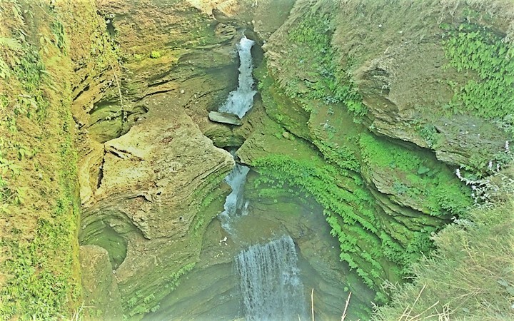 Donkeys Adventures